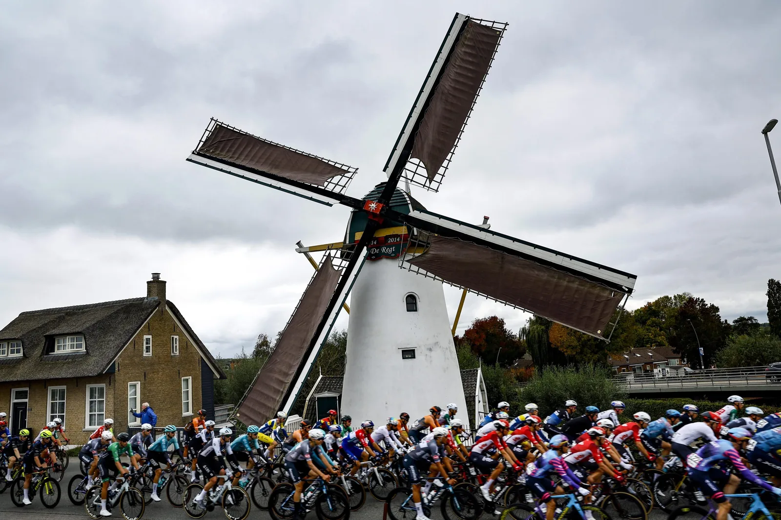 Enecotour